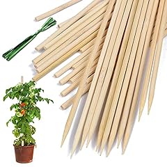 Bamboo plant stakes for sale  Delivered anywhere in USA 