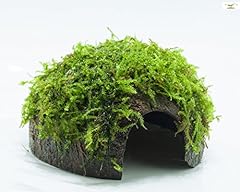 Garnelio grotte mousse d'occasion  Livré partout en France