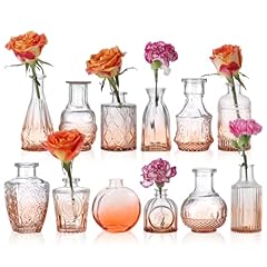 Starside set orange for sale  Delivered anywhere in USA 