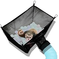Ferret ball pit for sale  Delivered anywhere in UK
