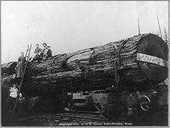 Historicalfindings photo lumbe for sale  Delivered anywhere in USA 