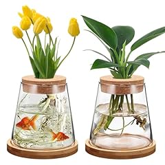 Pièces vases hydroponiques d'occasion  Livré partout en France