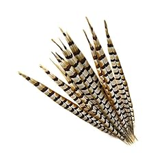 Pheasant tail feather for sale  Delivered anywhere in USA 