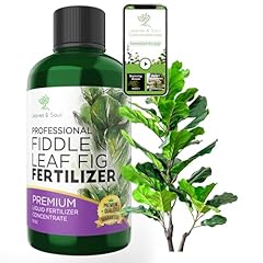 Professional liquid fiddle for sale  Delivered anywhere in USA 
