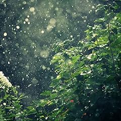 Rain no.211 d'occasion  Livré partout en France