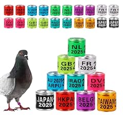 Pack 100 multicoloured for sale  Delivered anywhere in UK