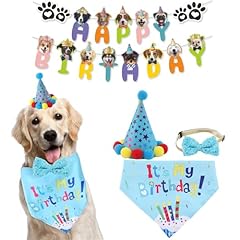 Dog boy birthday for sale  Delivered anywhere in USA 