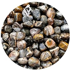 Gaf treasures ocean for sale  Delivered anywhere in USA 