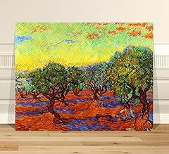Sunrise olive trees for sale  Delivered anywhere in USA 