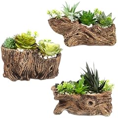 Sunnychicc pcs driftwood for sale  Delivered anywhere in USA 