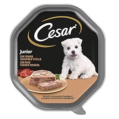 Cesar junior cibo usato  Spedito ovunque in Italia 