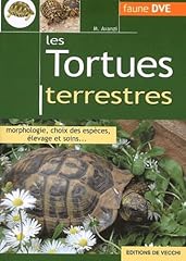 dve lille d'occasion  Livré partout en France