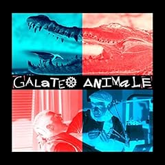 Galateo animale usato  Spedito ovunque in Italia 