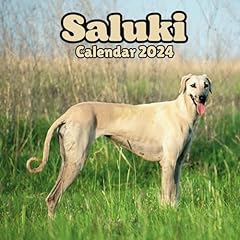 Saluki calendar 2024 for sale  Delivered anywhere in UK