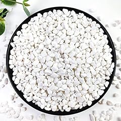 Yiszm 10lb succulent for sale  Delivered anywhere in USA 
