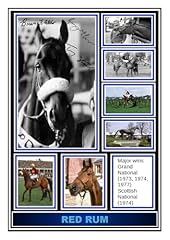 Red rum horse for sale  Delivered anywhere in UK