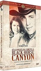 Gunfight black horse for sale  Delivered anywhere in UK