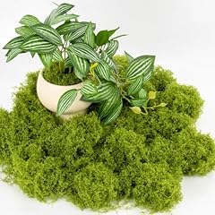 Fake green moss for sale  Delivered anywhere in USA 
