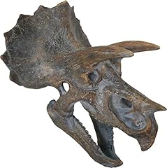 Nemesis triceratops head for sale  Delivered anywhere in UK