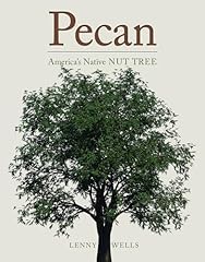 Pecan america native for sale  Delivered anywhere in USA 