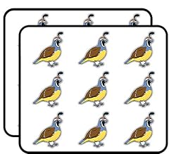 California valley quail for sale  Delivered anywhere in USA 