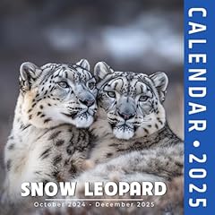 Snow leopard calendar gebraucht kaufen  Wird an jeden Ort in Deutschland