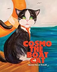 Cosmo the boat usato  Spedito ovunque in Italia 