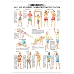 Sport tec stretching gebraucht kaufen  Wird an jeden Ort in Deutschland