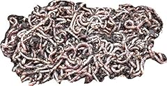 Yorkshire worms small for sale  Delivered anywhere in UK
