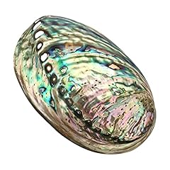 Large abalone seashell for sale  Delivered anywhere in UK