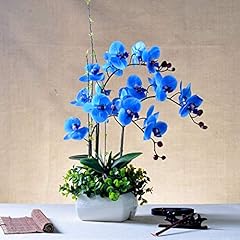 100pcs orchid seeds for sale  Delivered anywhere in Ireland