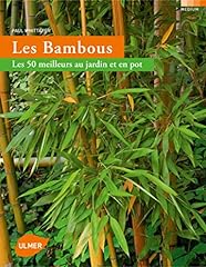 Bambous meilleurs jardin d'occasion  Livré partout en Belgiqu