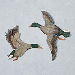 Magnificent mallard duck for sale  Delivered anywhere in USA 