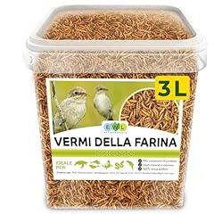 Ewl naturprodukte vermi usato  Spedito ovunque in Italia 