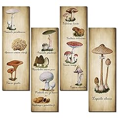 Pack mushroom wall for sale  Delivered anywhere in USA 