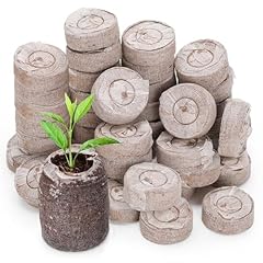 Gotvuge 50pcs seed for sale  Delivered anywhere in UK