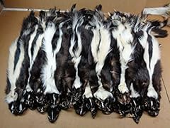Real tanned skunk for sale  Delivered anywhere in USA 