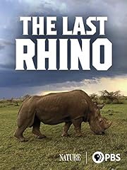 Last rhino for sale  Delivered anywhere in USA 
