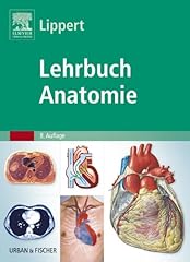 Lehrbuch anatomie zugang gebraucht kaufen  Wird an jeden Ort in Deutschland