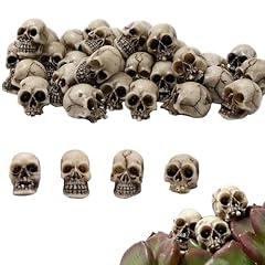 Teschi decorativi miniatura usato  Spedito ovunque in Italia 
