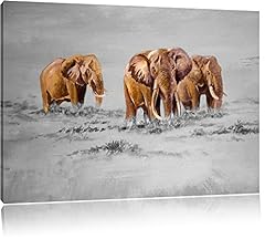Pixxprint elefanten südafrika gebraucht kaufen  Wird an jeden Ort in Deutschland