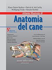Atlante illustrato anatomia usato  Spedito ovunque in Italia 