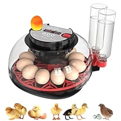 Incubators hatching eggs for sale  Delivered anywhere in USA 