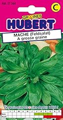 Graines mâche grosse d'occasion  Livré partout en France