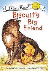 Biscuit big friend d'occasion  Livré partout en France