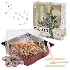 Cactus starter kit d'occasion  Livré partout en France