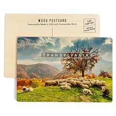 Transylvania romania sheep for sale  Delivered anywhere in USA 