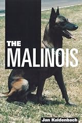 Malinois for sale  Delivered anywhere in USA 