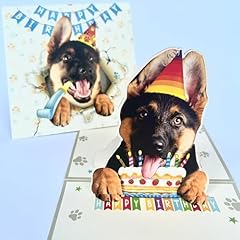Momapopup pop german for sale  Delivered anywhere in USA 