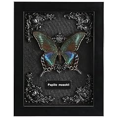 Real butterfly framed for sale  Delivered anywhere in USA 